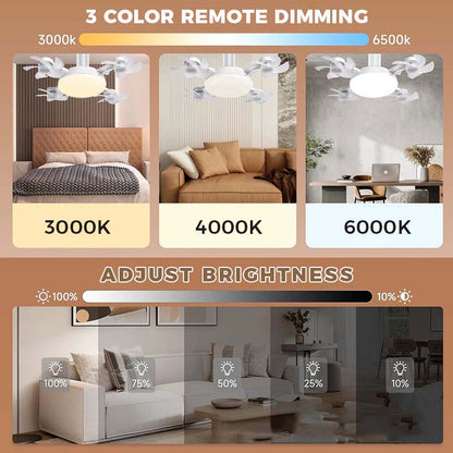 🌀LAST DAY SALE 50% OFF!!❄️Aerolux™ Ceiling Fan Light – 2-in-1 Silent LED with Remote 🌬️💡  Energy-Efficient Airflow & Dimmable Lighting for Bedrooms, Living Rooms & Conservatories 🏡✨